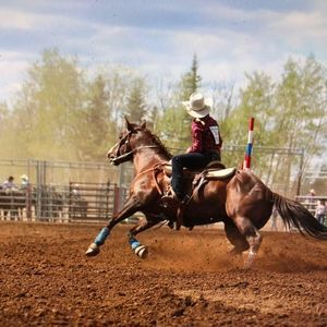 Meet your Posher, Kenedy